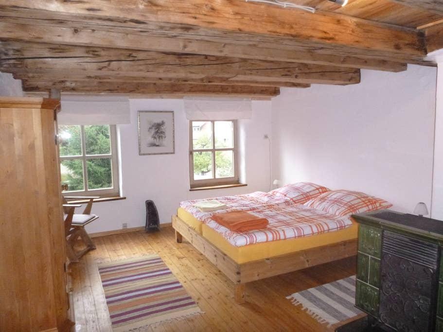 Pet Friendly Memmingen Airbnb Rentals