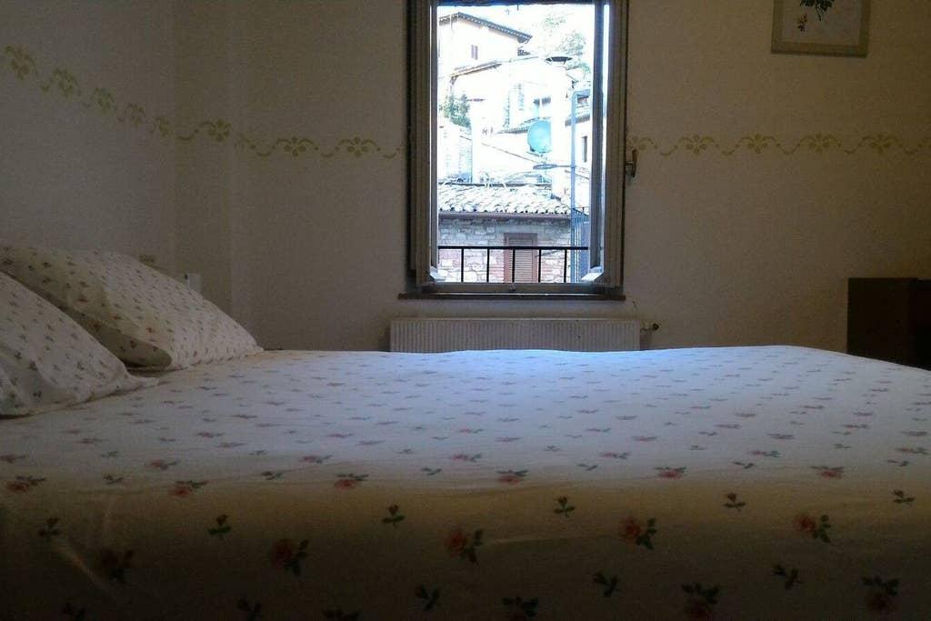 Pet Friendly Assisi Airbnb Rentals