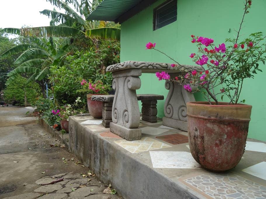 Pet Friendly Masaya Airbnb Rentals