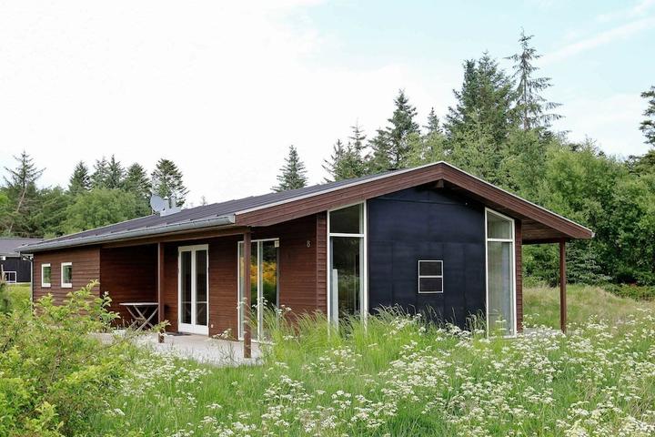 Pet Friendly Fjerritslev Holiday Home With Whirpool