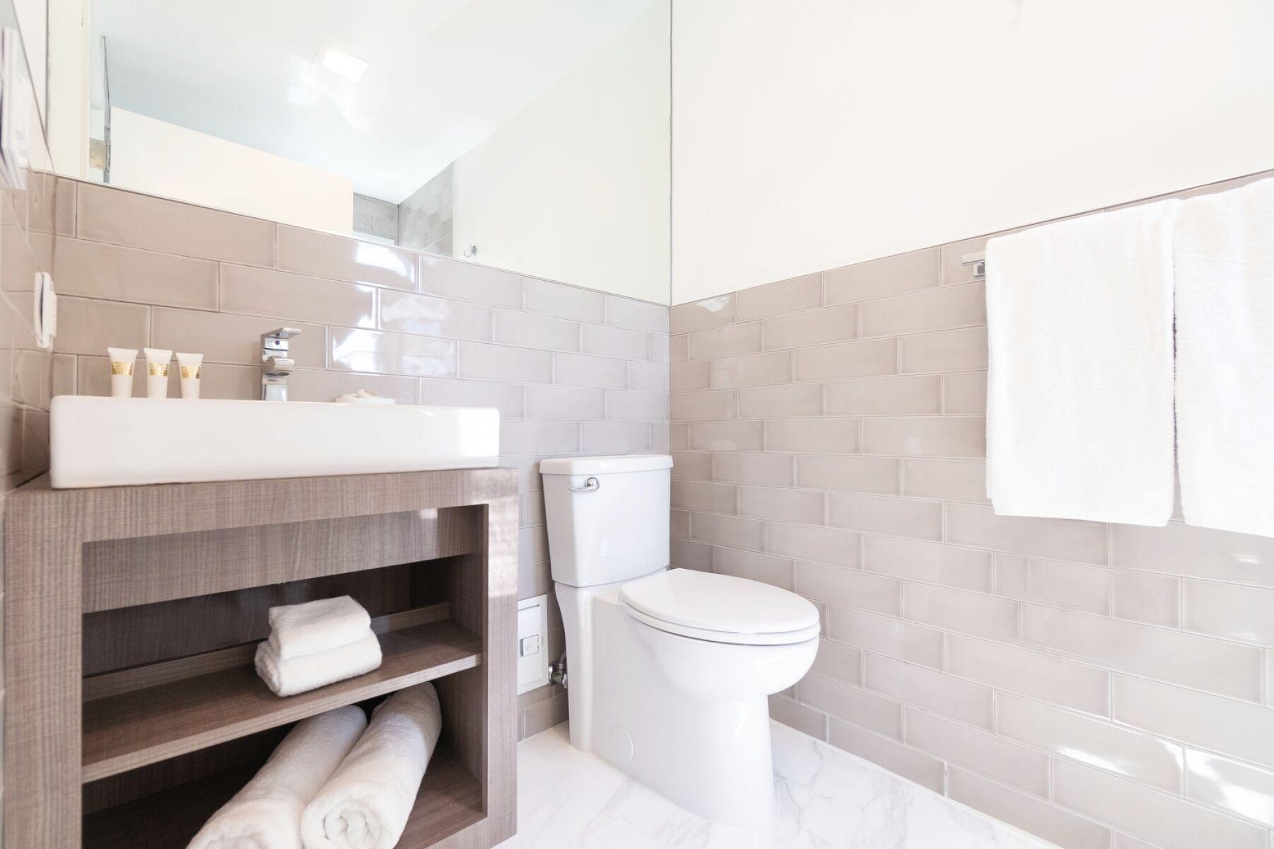 Collins 311 King Pet Policy