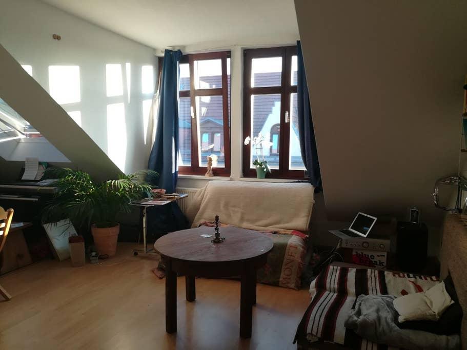 Pet Friendly Schkopau Airbnb Rentals