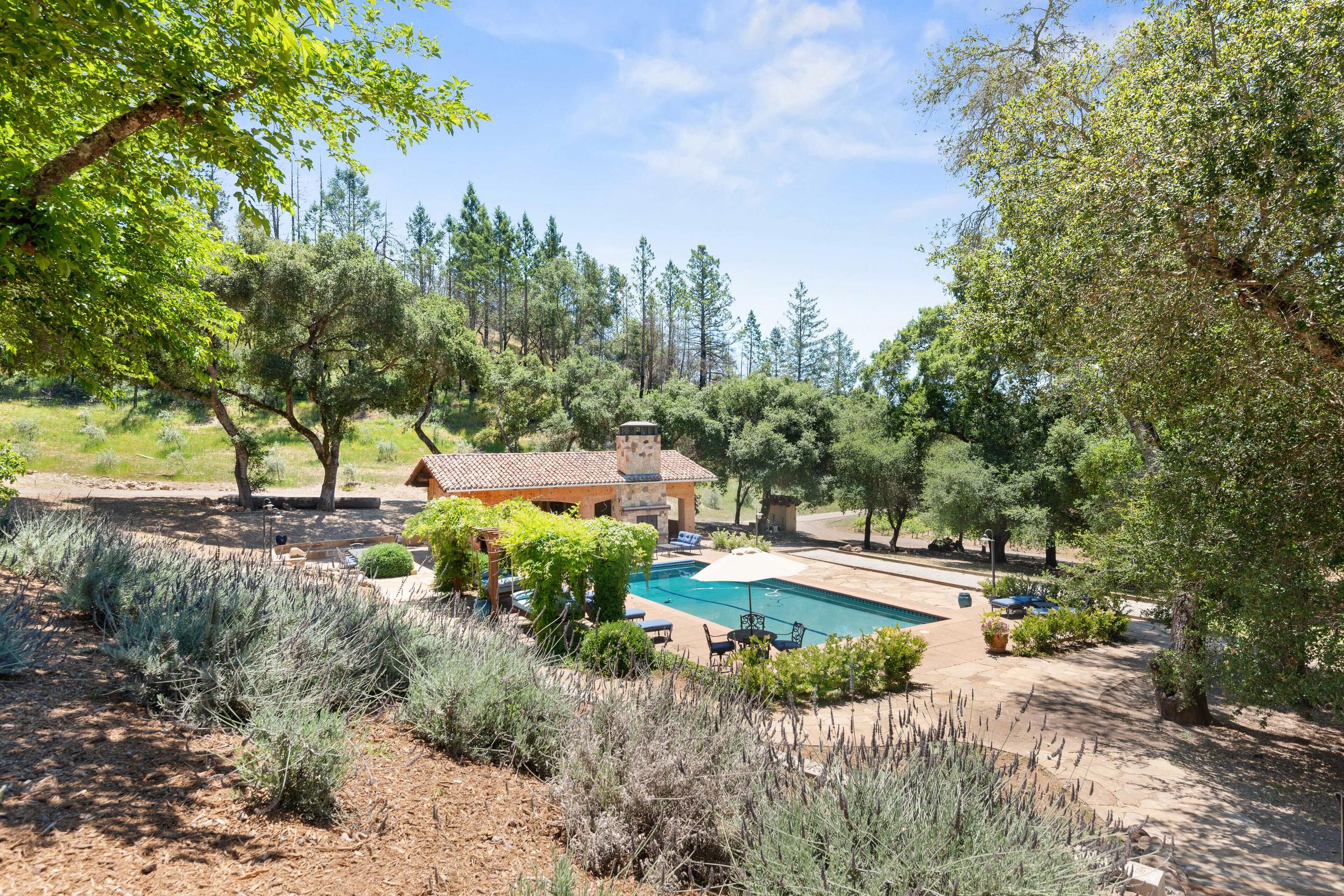 Pet Friendly Locanda Winery Estate