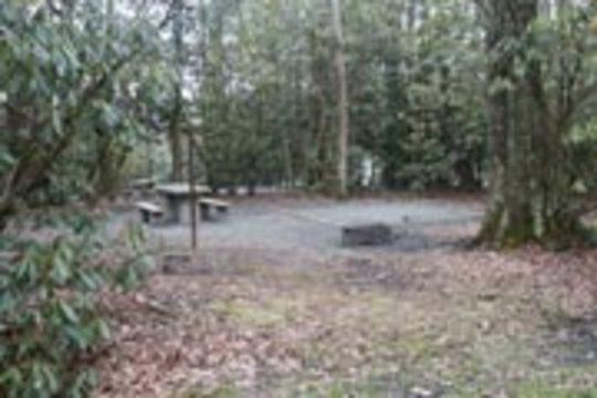 Pet Friendly Linville Falls Blue Ridge Pkwy Campground
