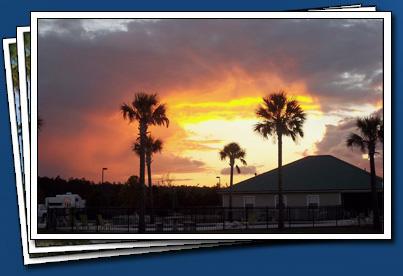 Pet Friendly Pecan Park RV Community