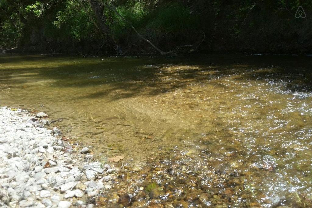 Columbus Airbnb Rentals Pet Policy