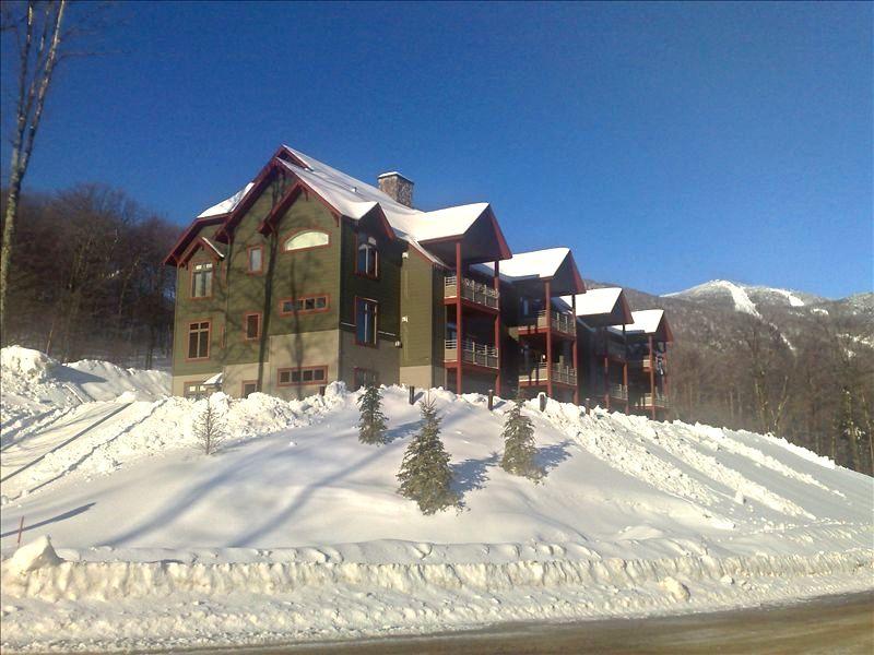 Pet Friendly Vacation Rentals In Killington Vt Bringfido