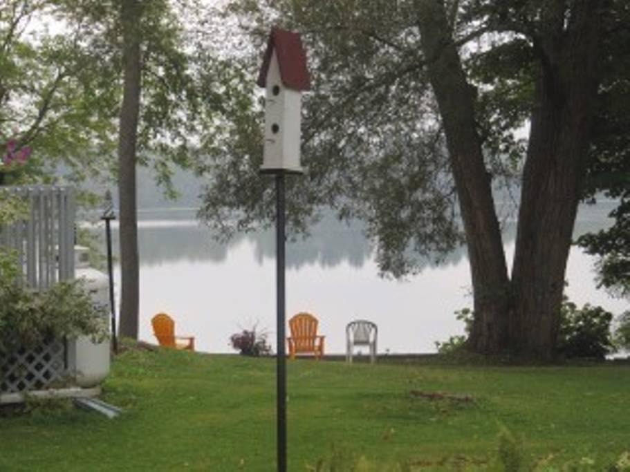 Brockville Airbnb Rentals Pet Policy Brockville Airbnb Rentals Pet Policy