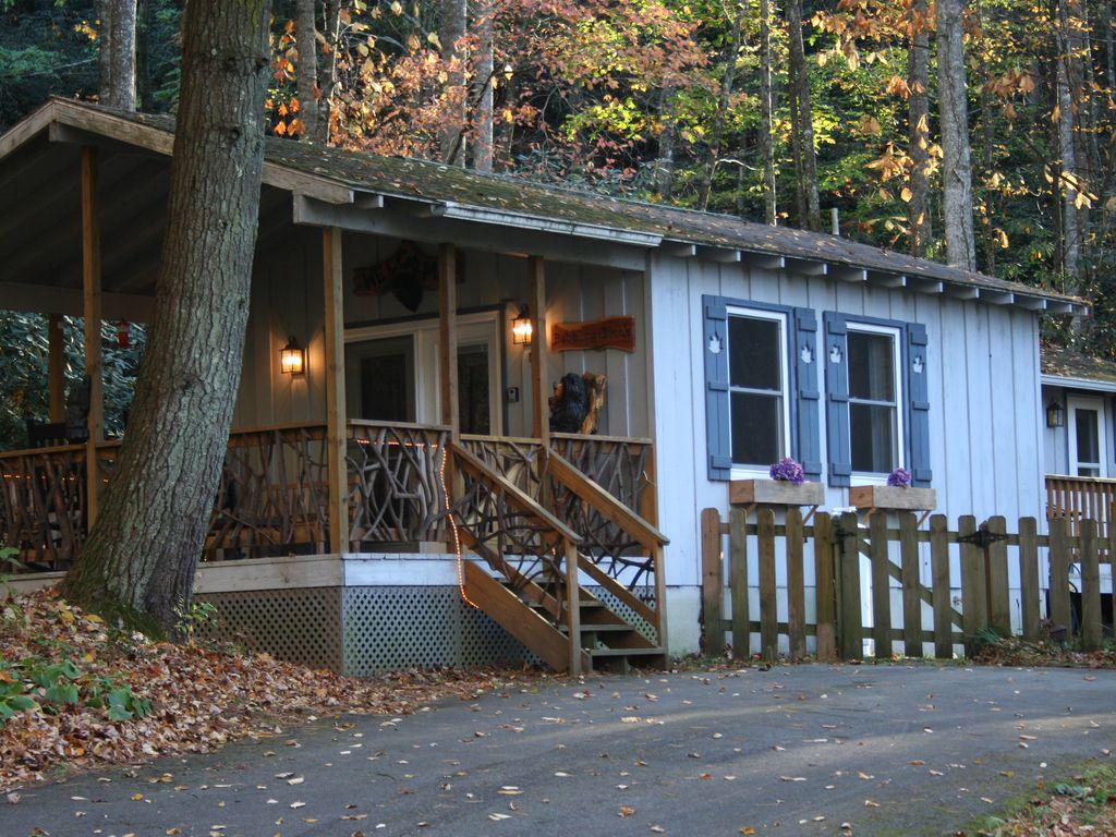 Pet Friendly Vacation Rentals In Brevard Nc Bringfido