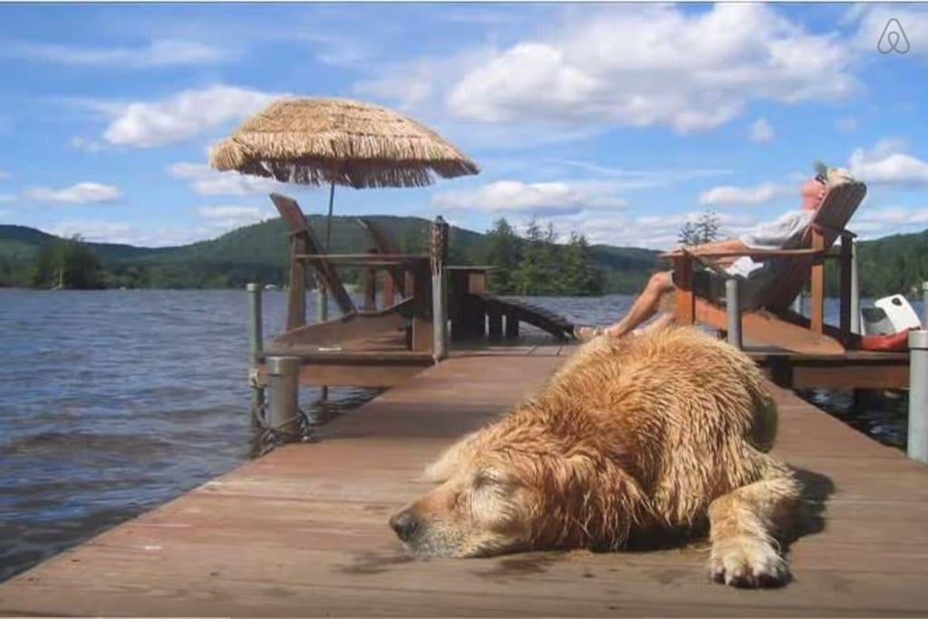 Pet Friendly Bryant Pond Airbnb Rentals
