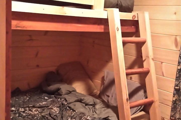 Pet Friendly Rustic Cabin