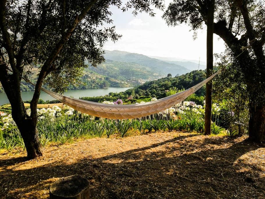 Pet Friendly Santa Cruz do Douro Airbnb Rentals
