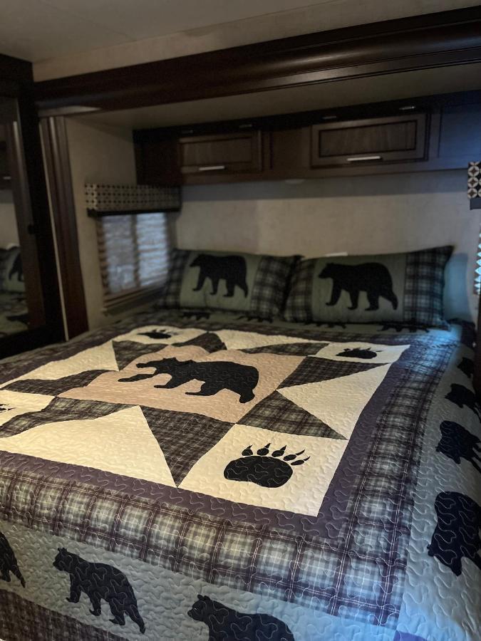 Pet Friendly Relax and Unwind in a Modern Camper