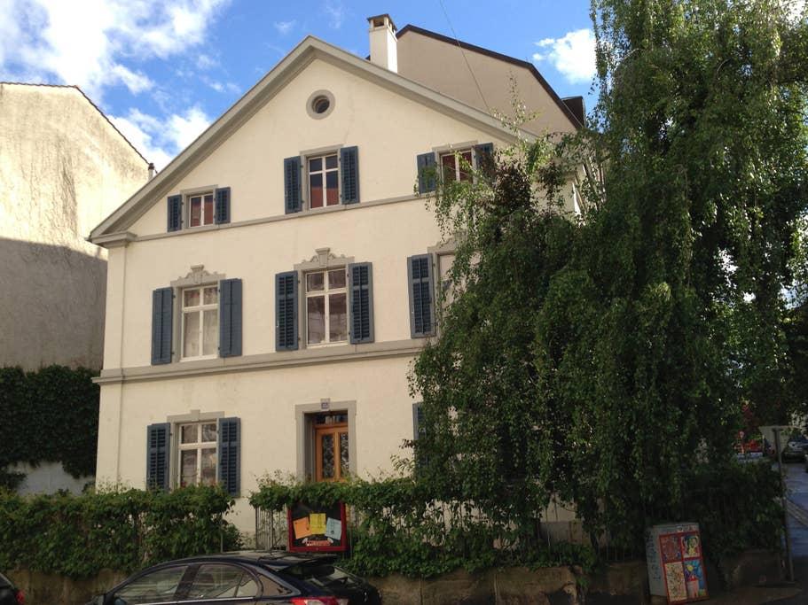 Pet Friendly Basel Airbnb Rentals