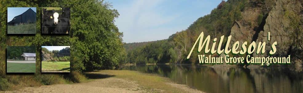 Pet Friendly Millesons Walnut Grove Campground