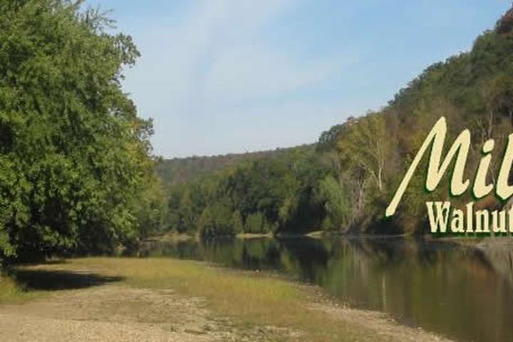 Pet Friendly Millesons Walnut Grove Campground
