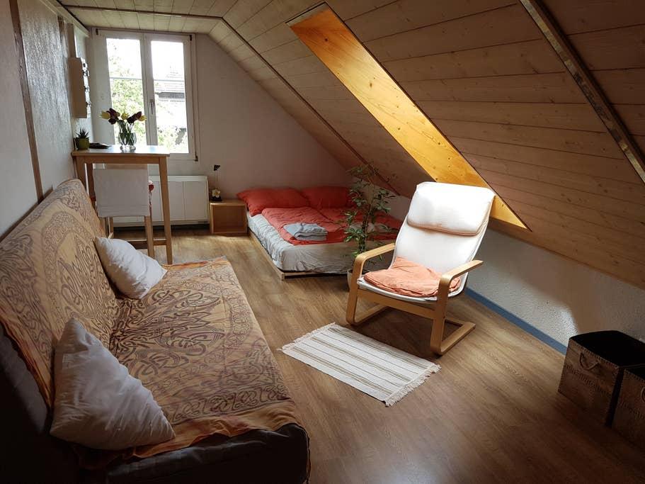 Pet Friendly Rapperswil Airbnb Rentals