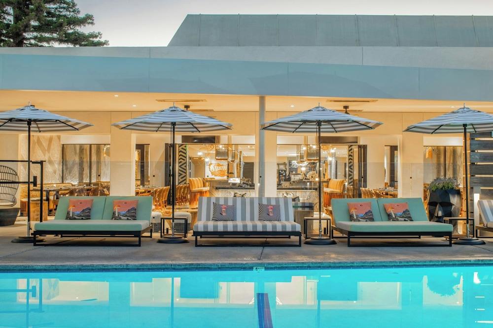 Pet Friendly Hotel Paradox Autograph Collection