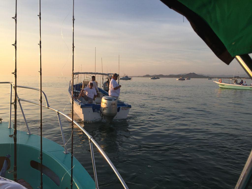 Beachfront on Sea of Cortez Pet Policy