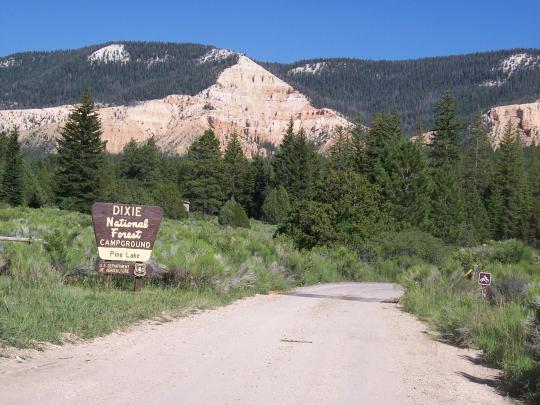 Pine Lake Campground Pet Policy