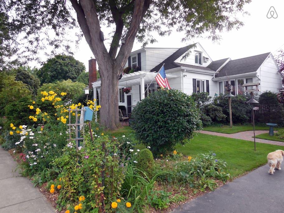 Dog Friendly Rochester Ny Bringfido