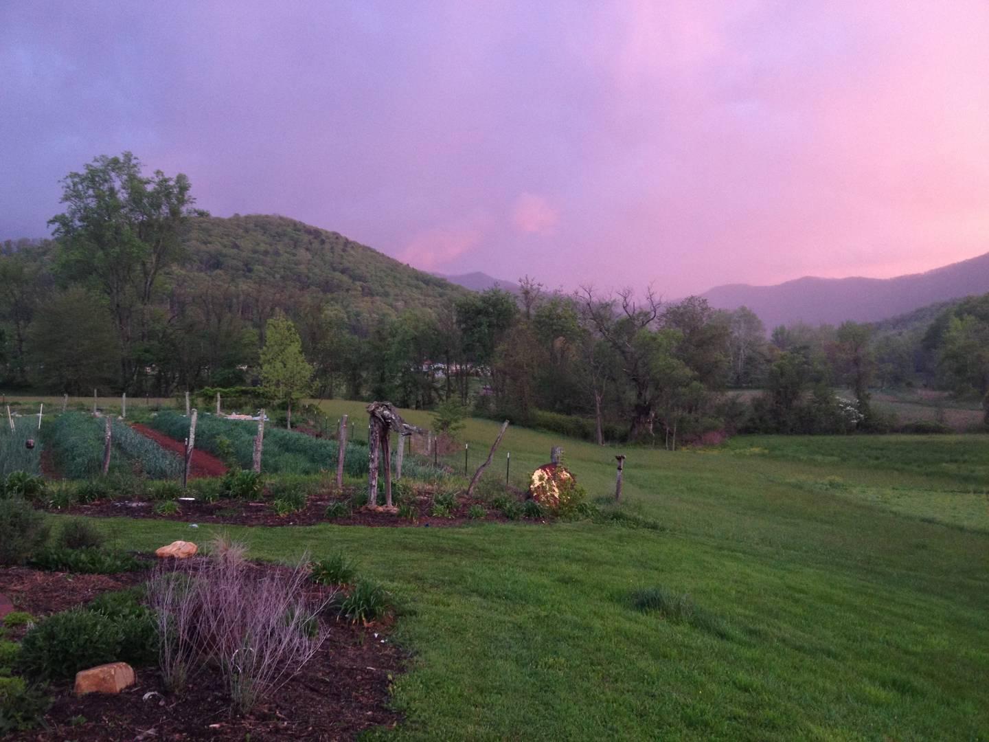 Pet Friendly Vacation Rentals In Candler Nc Bringfido