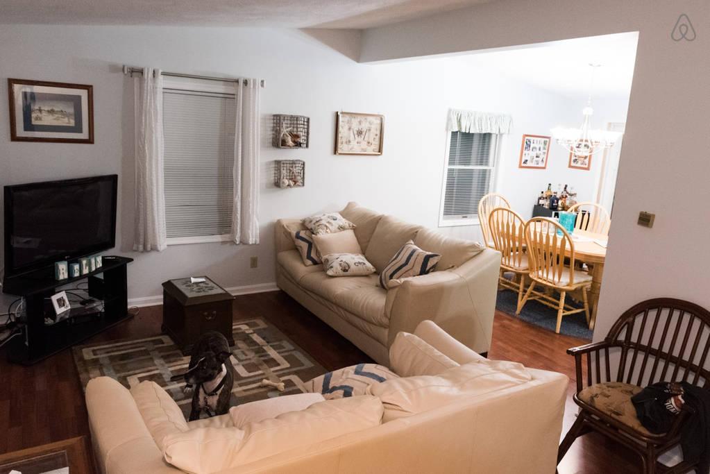 Pet Friendly East Hampton Airbnb Rentals