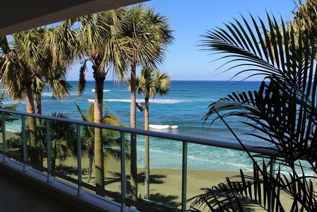 Laguna Beach Condo Rental Pet Policy