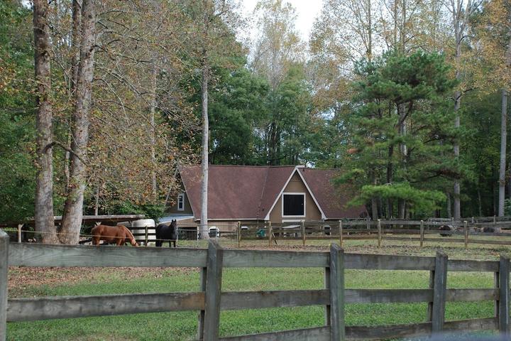 Pet Friendly Equestrian Retreat Country Getaway