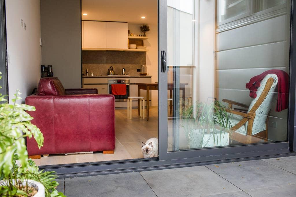 Pet Friendly Essendon Airbnb Rentals