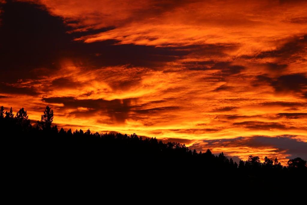 Casper Mountain Log Home Pet Policy