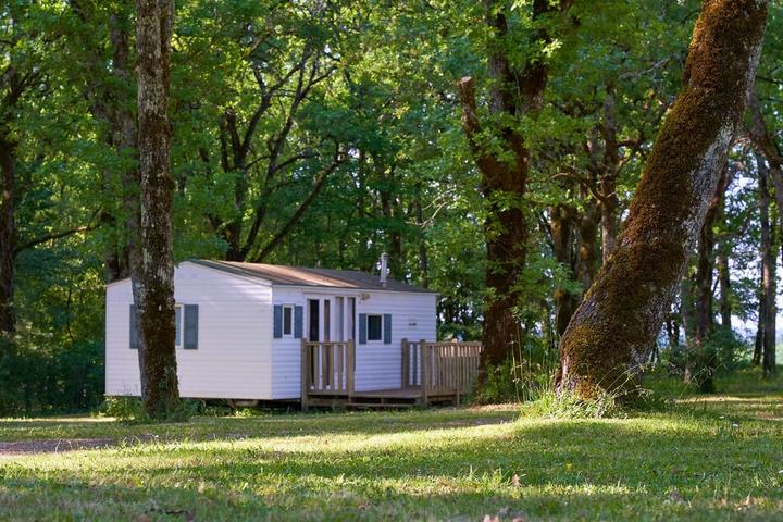 Pet Friendly Mobile Home in Nature at Calm Campsite