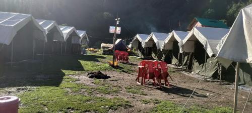 Pet Friendly Shiva Shanti Camp