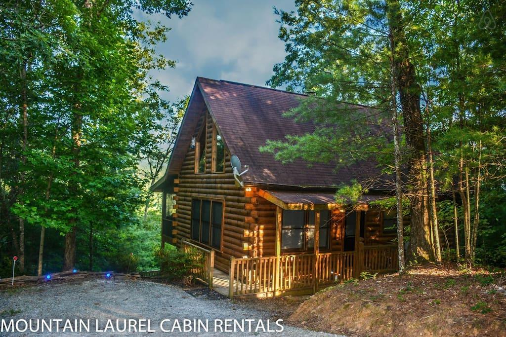 Big Canoe Cabin Rentals - cabin