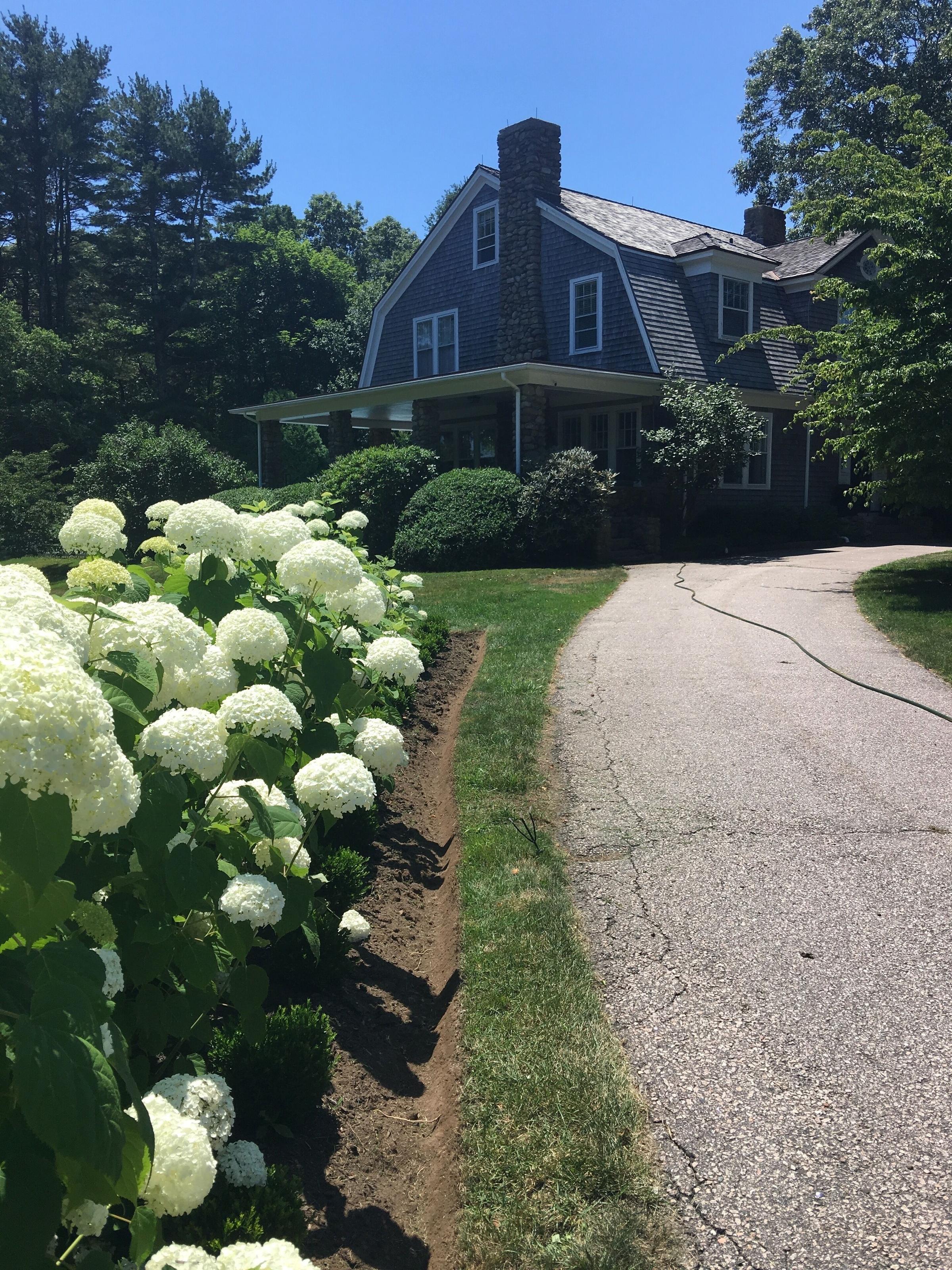 Idyllic Mystic Estate Pet Policy