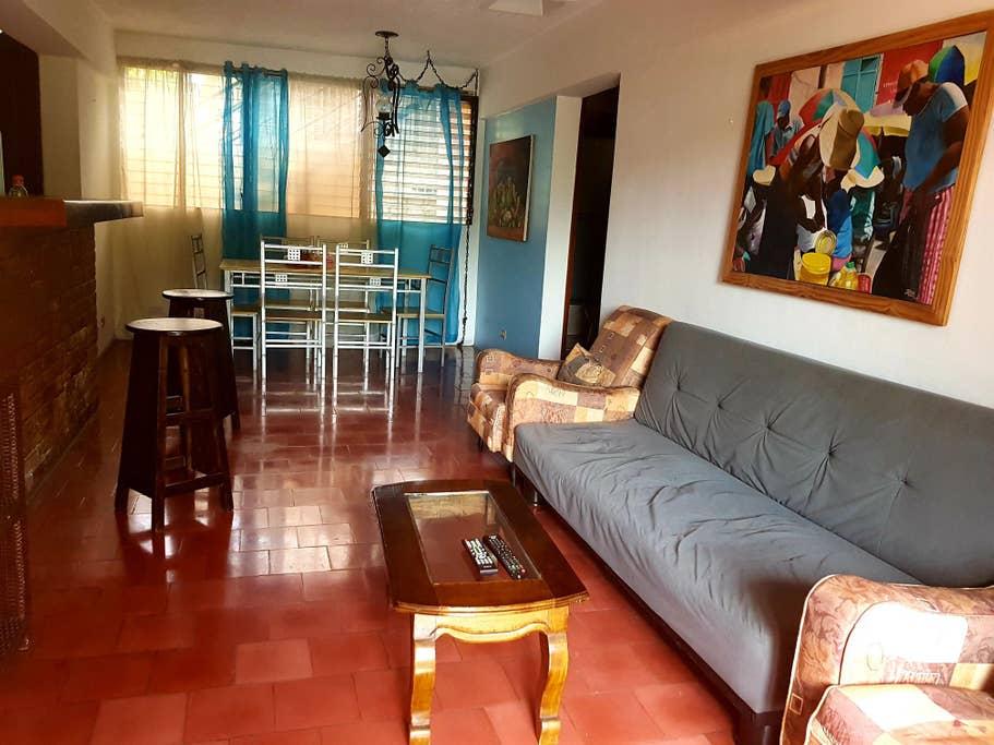 Pet Friendly Port Au Prince Airbnb Rentals