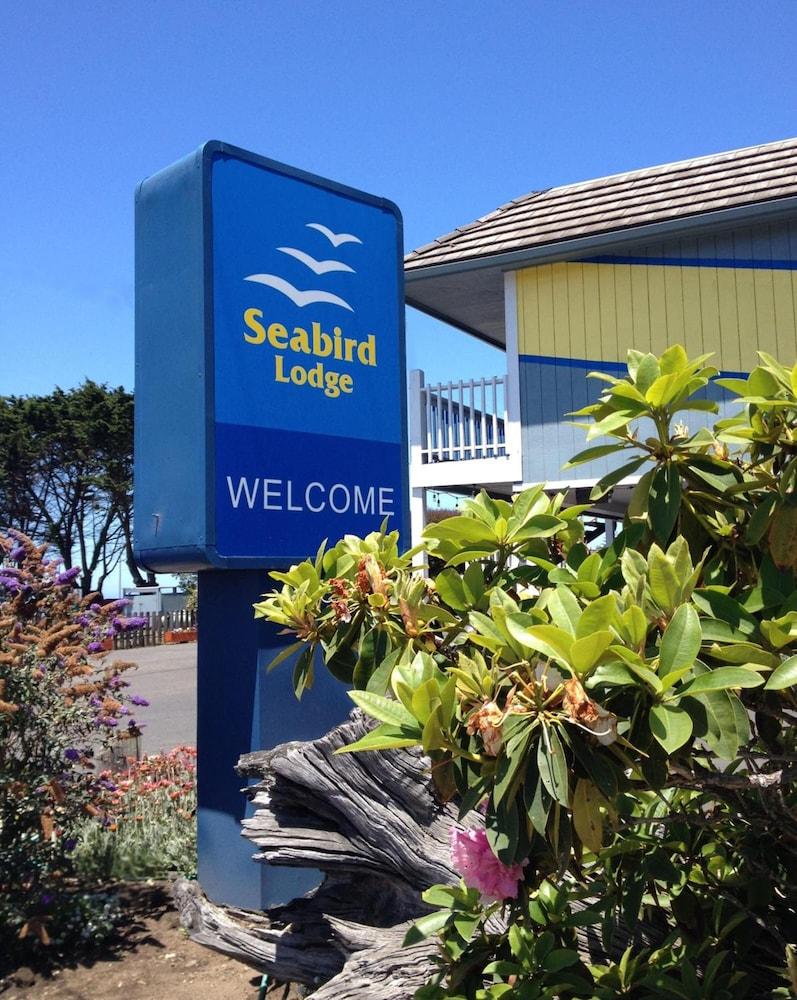 Pet Friendly Seabird Lodge