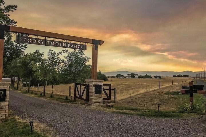 Pet Friendly Llama-Stay at Spooky Tooth Ranch
