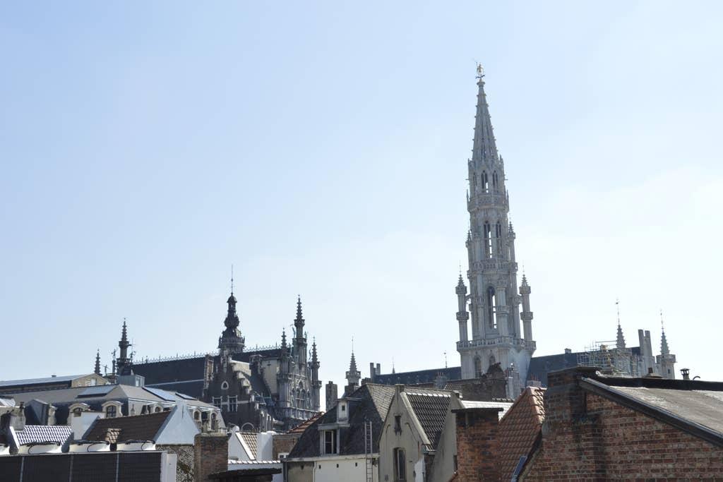 Pet Friendly Brussels Airbnb Rentals