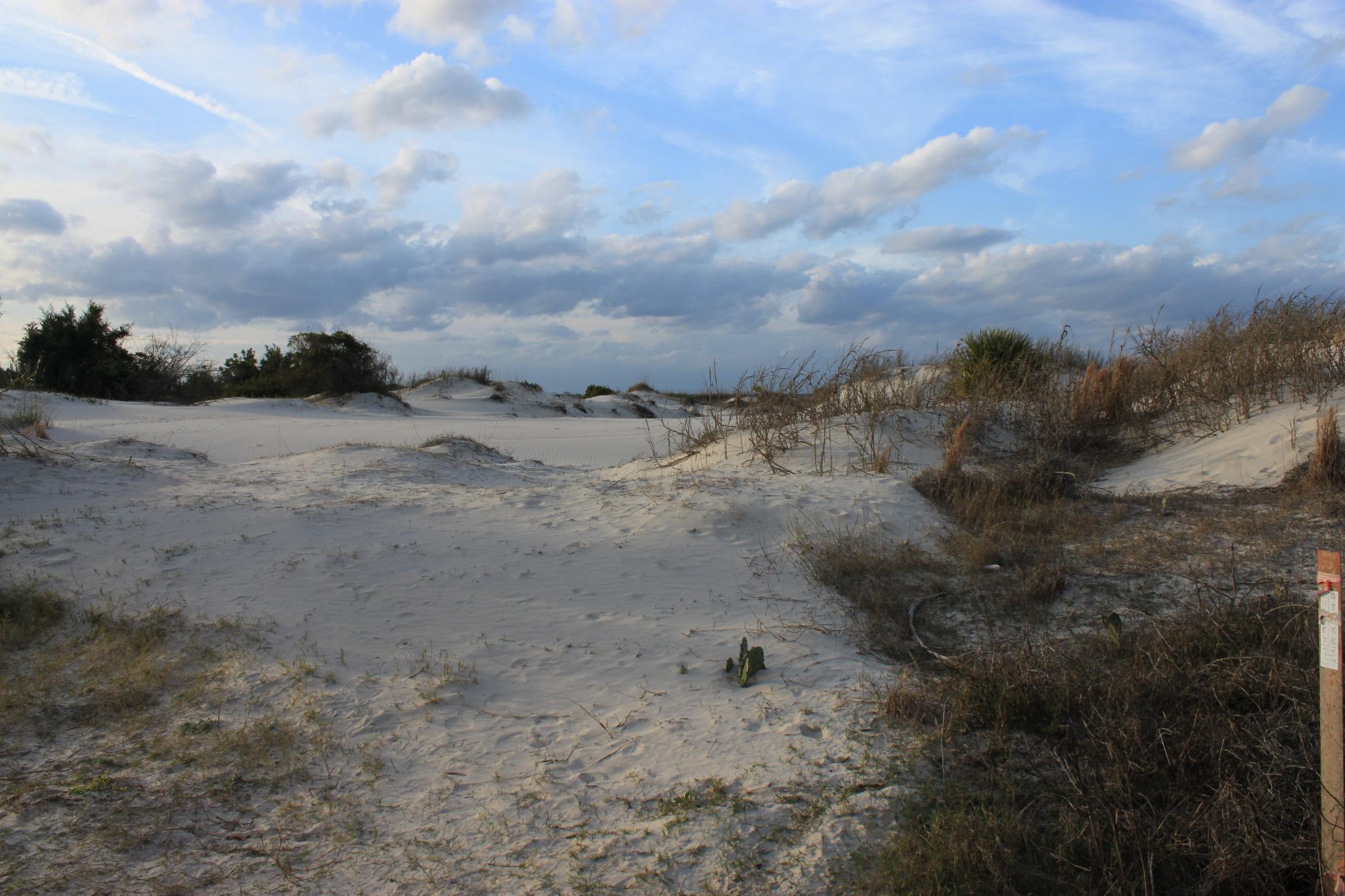 Pet Friendly Fort Clinch State Park Campground