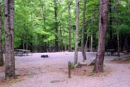 Pet Friendly Cades Cove Group Campground