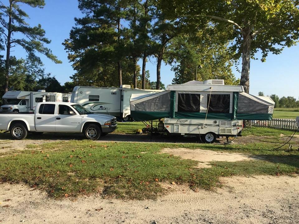 Escape to the Swamp: South Carolina's Hidden Gem, Swamp Fox Campground
