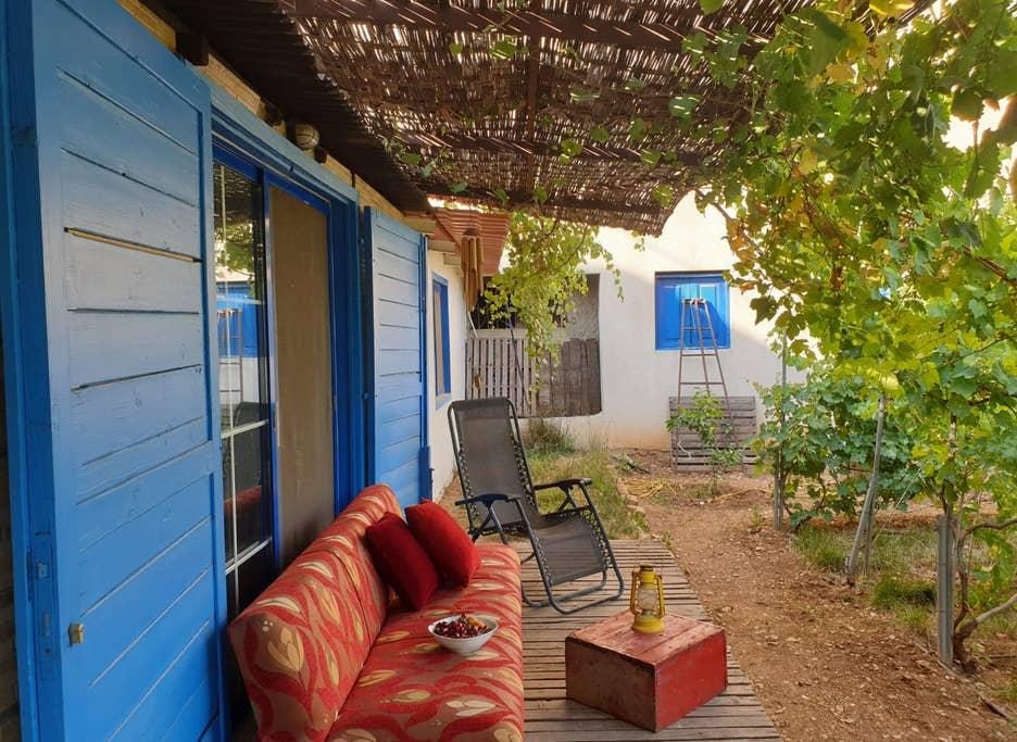 Pet Friendly Zahle Airbnb Rentals