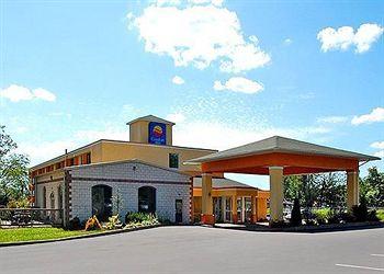 Comfort Inn Pocono Mountains Pet Policy