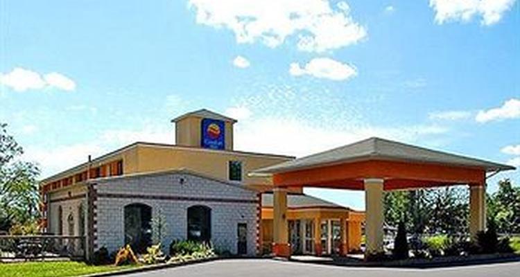 Comfort Inn Pocono Mountains Pet Policy