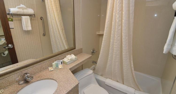 Comfort Inn Pocono Mountains Pet Policy