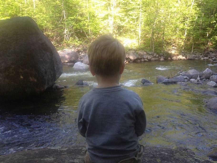 Adirondack Airbnb Rentals Pet Policy