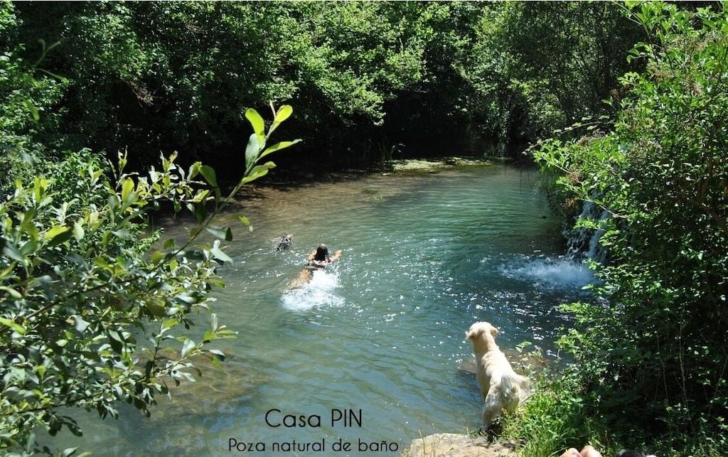 Pet Friendly Casas Pin for 1 People