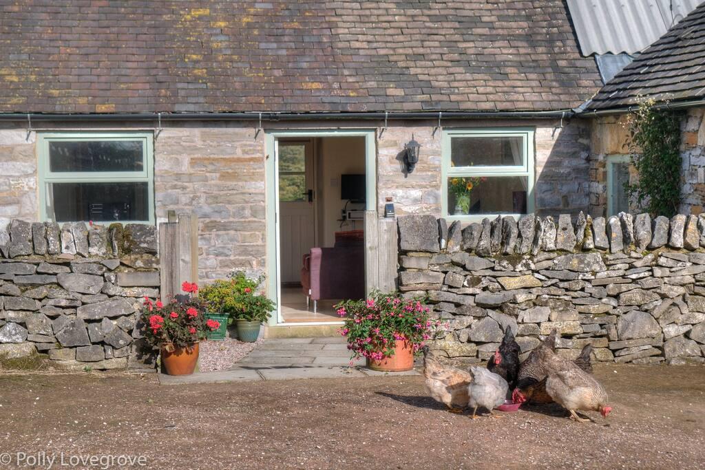 Pet Friendly Dovedale Airbnb Rentals