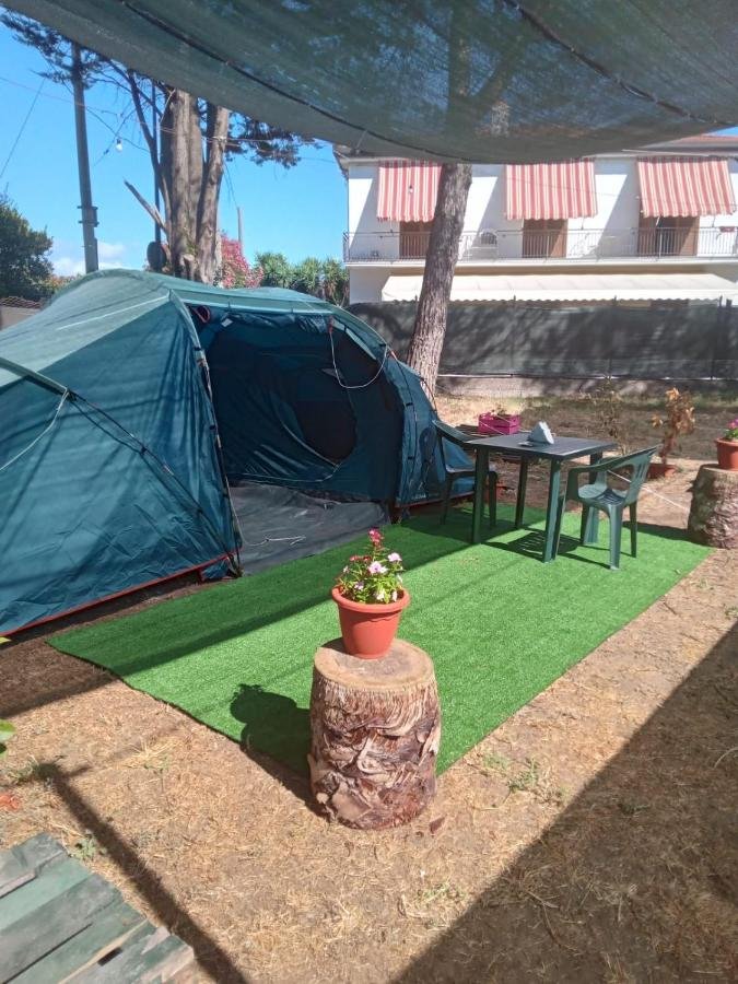 Pet Friendly Glamping Pineta